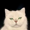 mlesha_