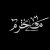 mahbi313