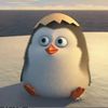 g_penguino