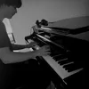 a.fellow_pianist