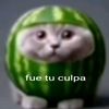 xavier.rodriguez462