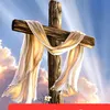 nurjesusrettet7