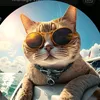 funny_animal995