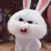 di k alm cno b yan