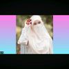 shilaislam8824