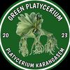 green.simbar