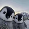 hapypyskibidi