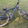 david_willis111