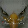 muneeb.114