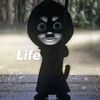 arya___xb