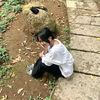 tulsi__grg4