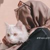 queenrajputt9