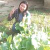 khinhtay.lwin2