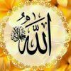 noori4579