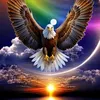 abdullah27126