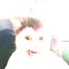 st3fanm1se