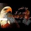 user2532247085165