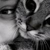 rzayeva_fatya_