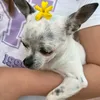 luciavaldivieso49