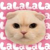 nnnnniiils_aaa