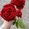 marah7941