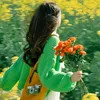 haiduong_6868
