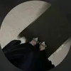 n_orr53