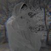 last_hope230