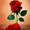 sagor.khan0693