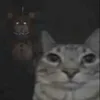 meluvtabikbroai
