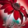user8261360157451