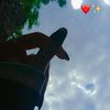 zinl.ahmid