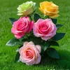 mohammad.munir053