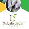 Gubala Urban Farm (kitende)