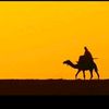 oumar16660