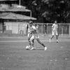 phenriquec_08