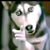 eliam.vsquez6