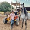 cuadra 78