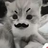 ktranghaybuon0