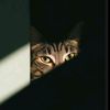 leojuly_26