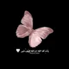 user904256852387