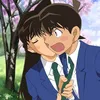 shinichi_ran_kd