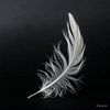 pluma396