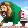 djamel.lams