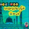 umair.ali.78696