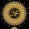 bedoor.hamza.suli
