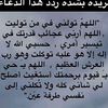 user5935329682793
