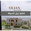 olian_603b
