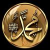 user3161858133507
