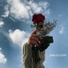 user9032245673076
